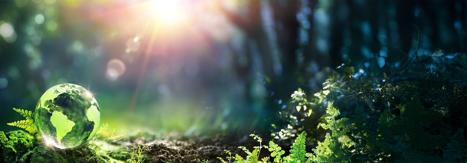 Online banking with FSNB